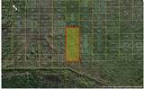  Holopaw Groves Road - Photo 6