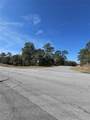 2914 Naegelia Place - Photo 4
