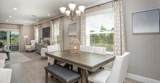 5563 Maddie Drive - Photo 8