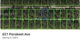 621 Parakeet Avenue - Photo 1
