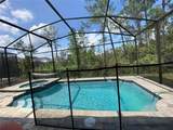 8949 Coconut Breeze Drive - Photo 16