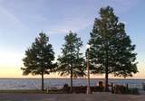 1113 Park Avenue - Photo 9