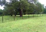 4375 Neff Lake Road - Photo 12