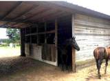 4375 Neff Lake Road - Photo 14