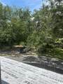 166 Hammock Preserve Loop - Photo 73
