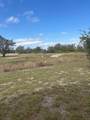 137 Willow Drive - Photo 13