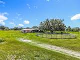 41204 Emeralda Island Road - Photo 43