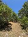 318 Palm Way - Photo 11