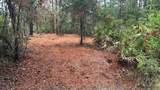 318 Palm Way - Photo 3