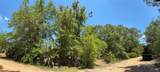 318 Palm Way - Photo 4