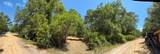 318 Palm Way - Photo 7