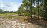 1020 Mimosa Street - Photo 1