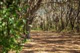 8000 Pine Island Road - Photo 2