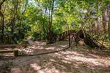 204 Tomoka Trail - Photo 42