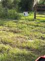 226 Hunting Shortcut Road - Photo 16