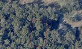  Reynolds Road - Photo 6