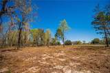  118TH Terrace - Photo 12
