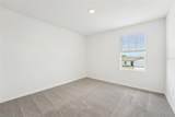 31653 Wild Grape Lane - Photo 34
