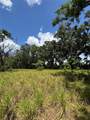4202 Drawdy Road - Photo 6