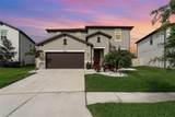 13532 Palmera Vista Drive - Photo 1