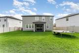 13532 Palmera Vista Drive - Photo 27