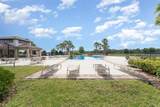 13532 Palmera Vista Drive - Photo 29