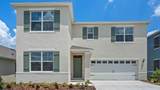 1262 Limbali Street - Photo 1