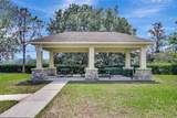 11209 Taeda Drive - Photo 50
