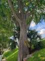 1140 Orlando Avenue - Photo 52