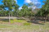 29901 State Road 44 - Photo 15