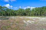 29901 State Road 44 - Photo 2