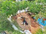8118 Fan Palm Way - Photo 49