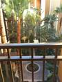 12539 Floridays Resort Dr 411 - Photo 1