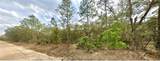 109 Dottie Street - Photo 2
