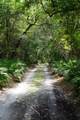  Bobcat Lane - Photo 4