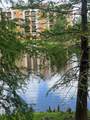 12539 Floridays Resort Dr Drive - Photo 2