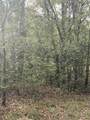 0000 125TH Street - Photo 2