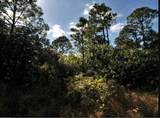  Kimberly Drive - Photo 3