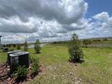 32046 Spiceberry Street - Photo 24
