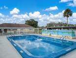 8 Jasmine Street - Photo 53