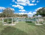 8 Jasmine Street - Photo 56