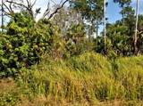  Firebird Road - Photo 1