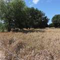  Maricamp Road - Photo 15