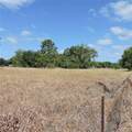  Maricamp Road - Photo 18