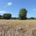  Maricamp Road - Photo 20