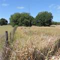  Maricamp Road - Photo 7