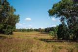 23423 Oak Lane - Photo 8