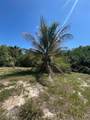 1369 Horseshoe Loop - Photo 10