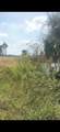 1528 4TH Court - Photo 12