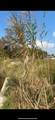 1528 4TH Court - Photo 8